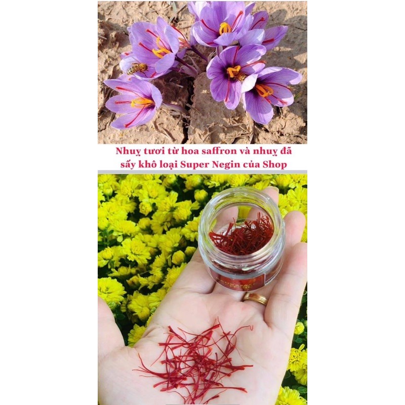 NHUỴ HOA NGHỆ TÂY LOẠI 1 - SAFFRON SUPER NEGIN