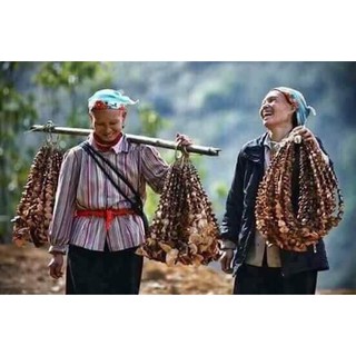 NẤM HƯƠNG RỪNG 500g