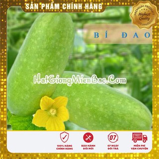 Hạt Giống Bí Đao Chanh - 0,5gr