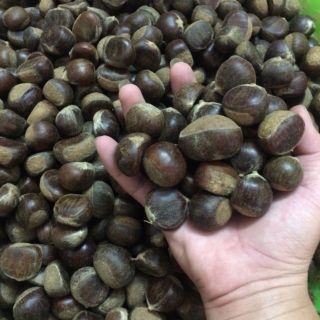 Combo 5kg hạt dẻ tươi Giá sỉ