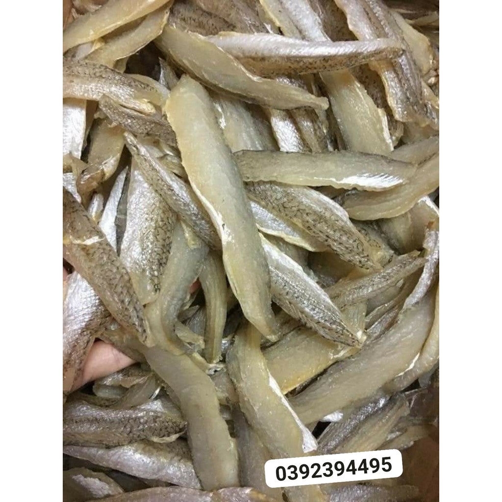 CÁ MỐI MỘT NẮNG PHILE