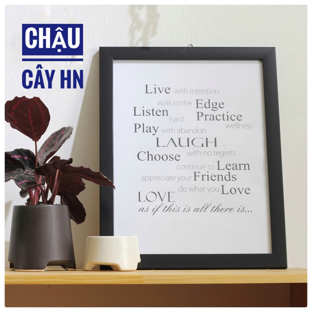 Chậu Sứ Trồng Cây Cảnh Mini Ba Chân Thấp Trồng Sen Đá, Xương Rồng, Cây Cảnh Mini