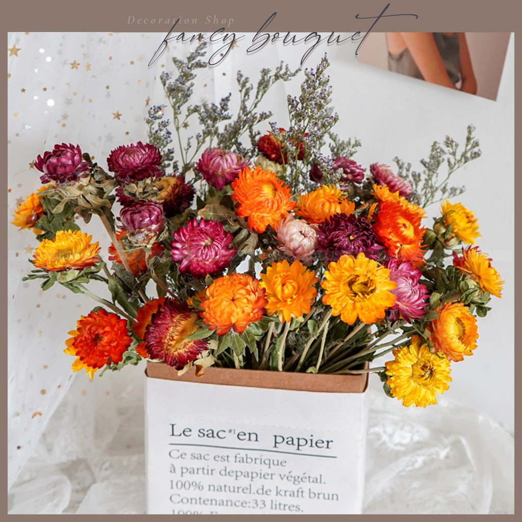 Hoa Bất Tử Khô ❤️FREESHIP❤️Hoa khô trang trí tặng kèm hoa sao