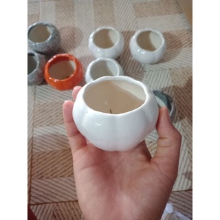💠Chậu sứ nhặt ngẫu nhiên(hoặc ib cho shop chọn mẫu)