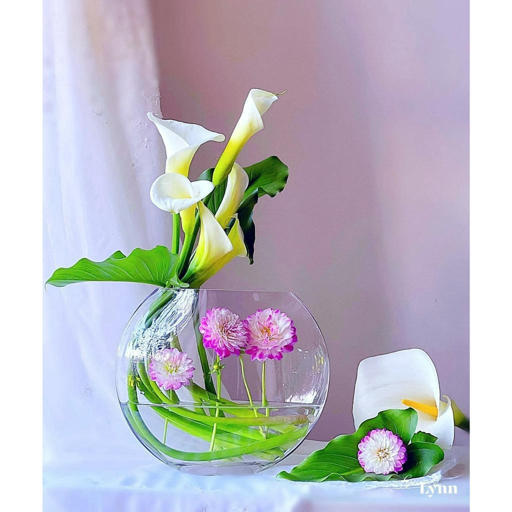 BÌNH HOA OVAL CAO CẤP