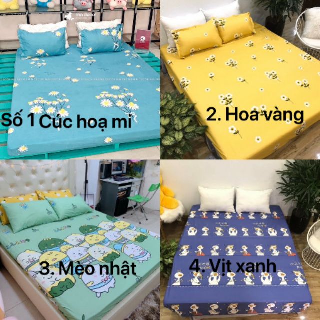 Trọn bộ ga gối chun cotton poly ( không kèm chăn )