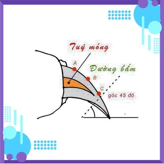 QN003 ndk13 ndk13 ndk13 Bộ Kềm Cắt Dũa Móng Thú Cưng Chó Mèo - MẪU 2 - anhpro