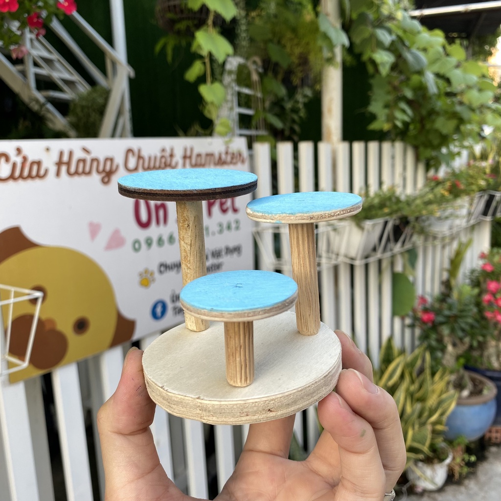 Trang trí chuồng hamster, Thang cụm bậc tròn