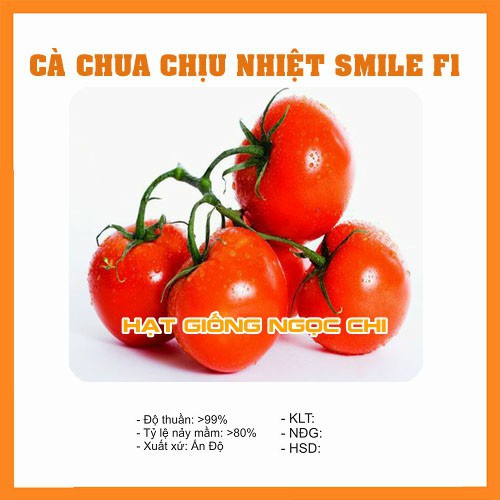 Hạt Giống Cà Chua Chịu Nhiệt Smile F1 - 30 Hạt