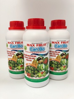 CANXI BO - SIÊU ĐẬU TRÁI