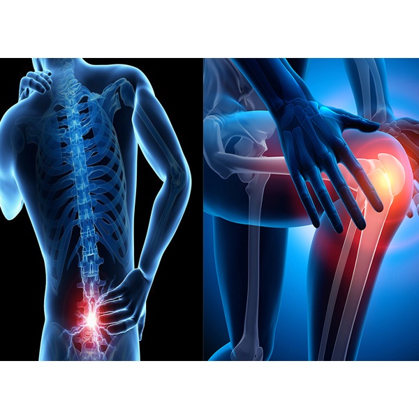 Boneton Gold Golden Health USA – Giúp tái tạo sụn khớp, giảm bớt đau mỏi vai gáy, thoái hóa cột sống, tốt cho người già