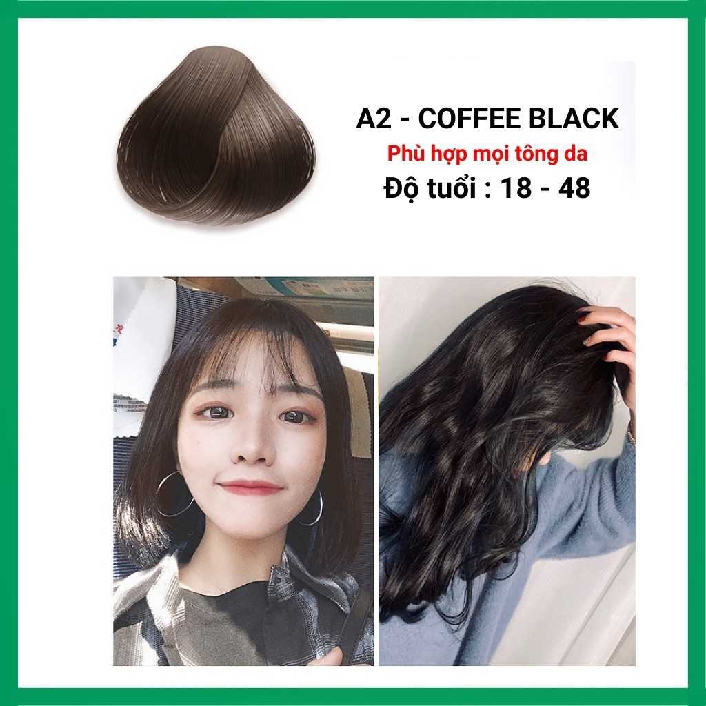 Thuốc Nhuộm Tóc Màu Thời Trang - Phủ Bạc, Thuốc Nhuộm Tóc Cá Nhân Tại Nhà ALORI 60ML 💖TẶNG GĂNG TAY + OXY + TRỢ DƯỠNG💖 | BigBuy360 - bigbuy360.vn