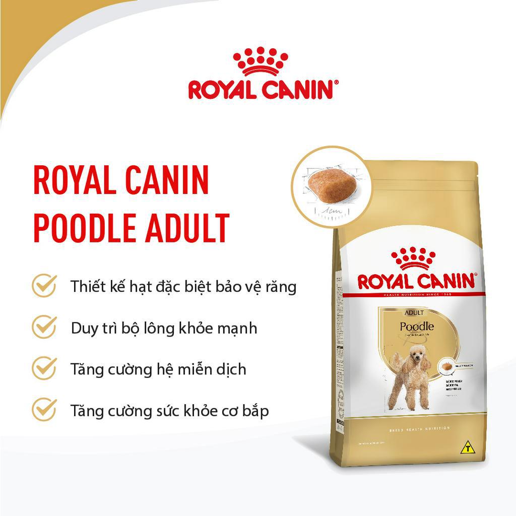thức ăn chó poodle adult hiệu royal canin