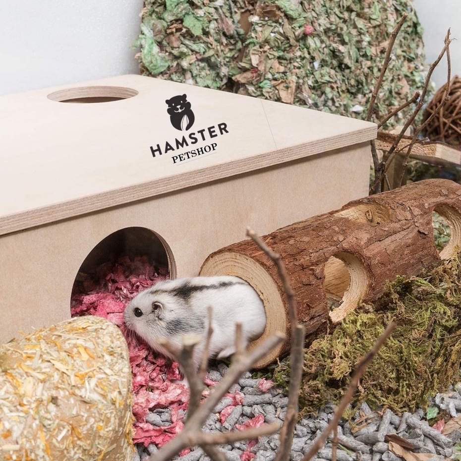 Ống chui cho Hamster bằng Gỗ Thông