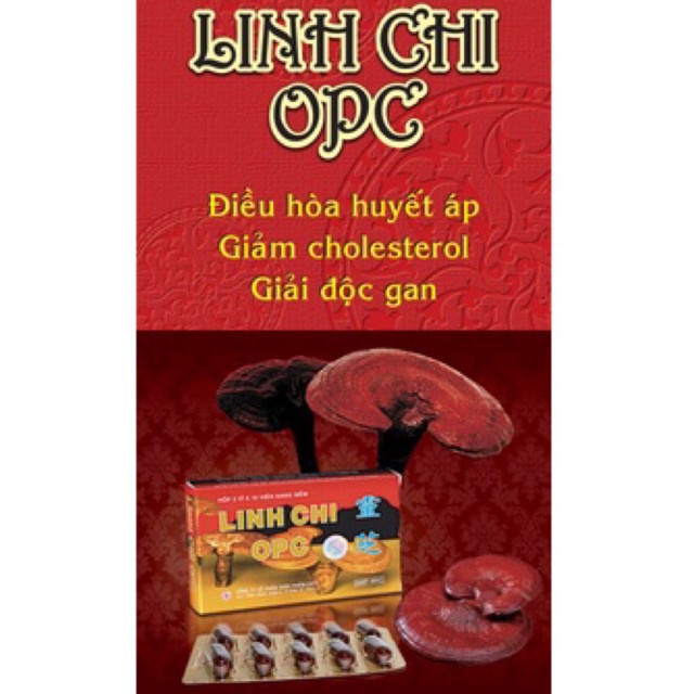 Linh chi opc