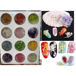 Trang Trí Móng Tay Bằng Hoa San Hô Đẹp và Đặc Sắc Riêng