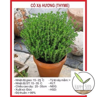 Hạt giống cỏ xạ hương - 100 hạt