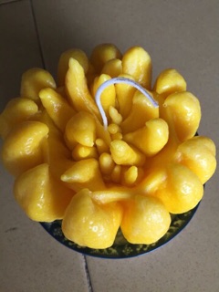 Nến phật thủ Hoàng phát candle