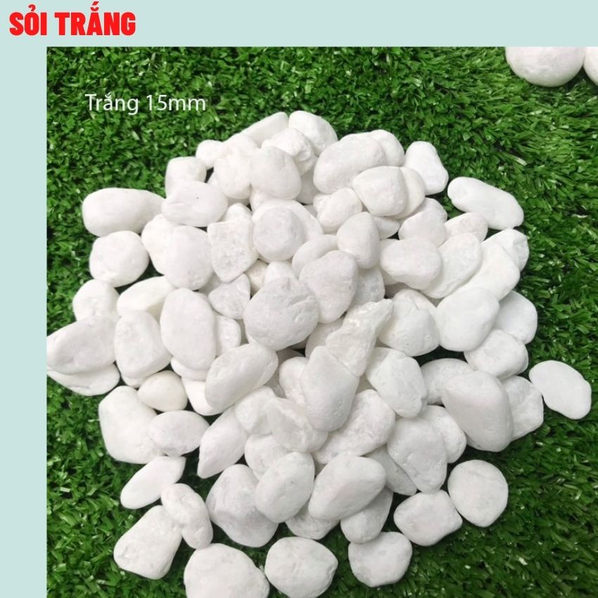 Sỏi hồ cá ( Chon Màu ) , Sỏi trang trí bể cá 1KG