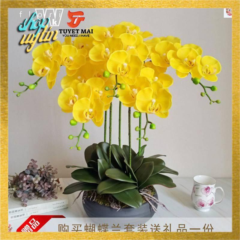 Hoa giả,hoa vải lụa - CÀNH LAN HỒ ĐIỆP 6 BÔNG CAO CẤP,  để bàn trang trí phòng khách rất đẹp