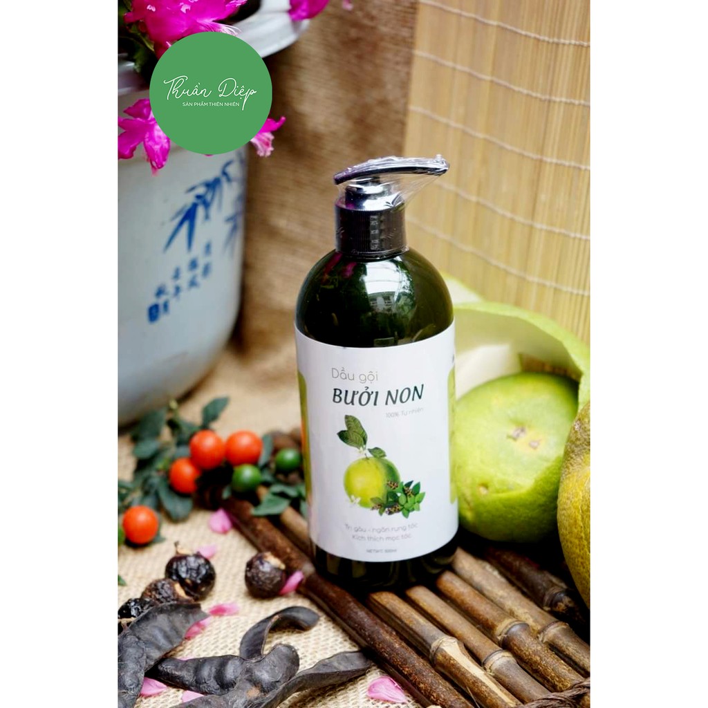 [Nhập mã THUA250BN giảm 30%] [250ml] DẦU GỘI BƯỞI NON CÔ ĐẶC [100% TỰ NHIÊN] [THUẦN DIỆP] | BigBuy360 - bigbuy360.vn