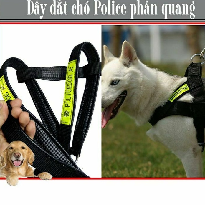 Dây dắt đai người Police phản quang lót da