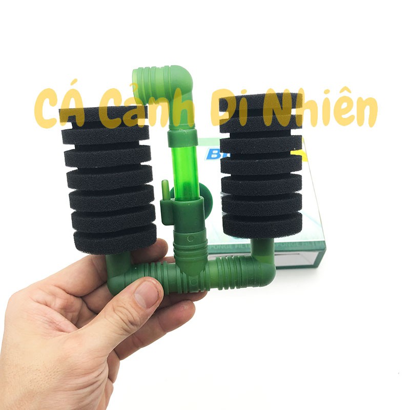 Lọc sủi vi sinh Bio-Sponge PK002 bông đôi cho hồ cá cảnh
