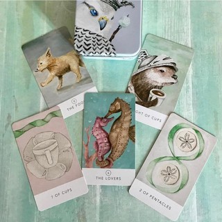 Bộ bài White Sage Tarot Tin