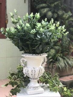 Lá táo nhỏ