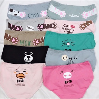 Quần chip cotton cao cấp cute