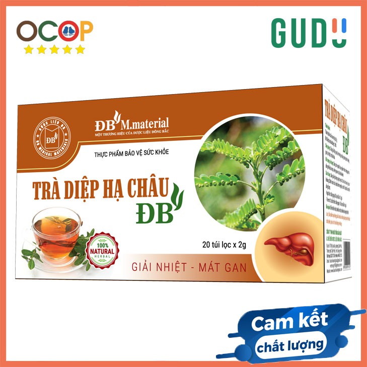 Trà Diệp hạ châu ĐB dược liệu sạch chuẩn GACP, Mát gan, giải độc gan Hộp 20 túi lọc tiện lợi