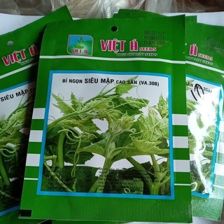 [MUA 5 TẶNG 1] Hạt giống Bí ăn ngọn siêu mập (gói 20g)