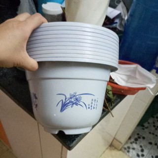 Combo 100 chậu hoa văn rộng 24cm cao 16cm
