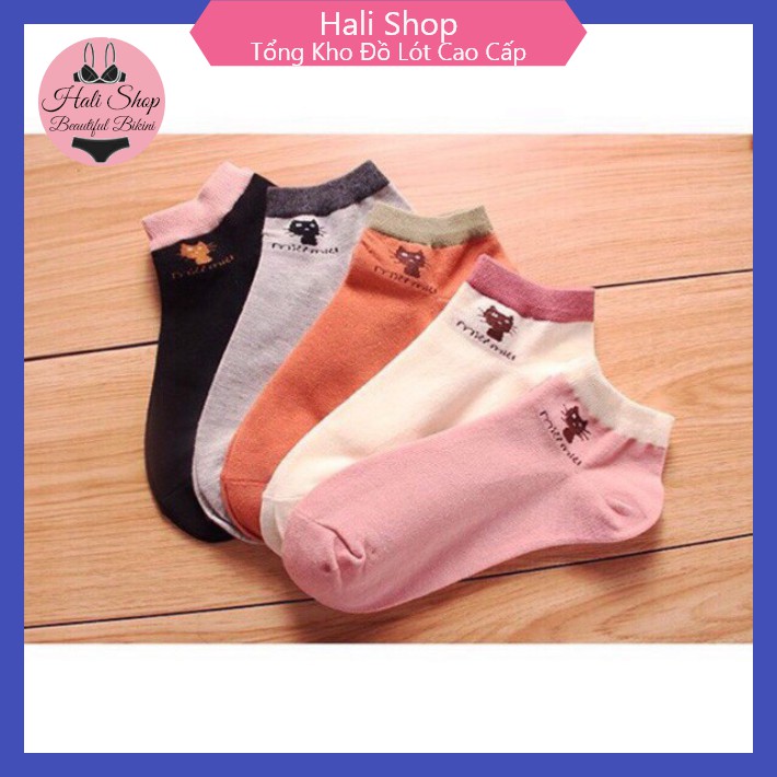 Tất Nữ ❤️FREESHIP❤️ Set 10 Đôi Tất Mèo Chống Hôi Chân Cho Bạn Gái