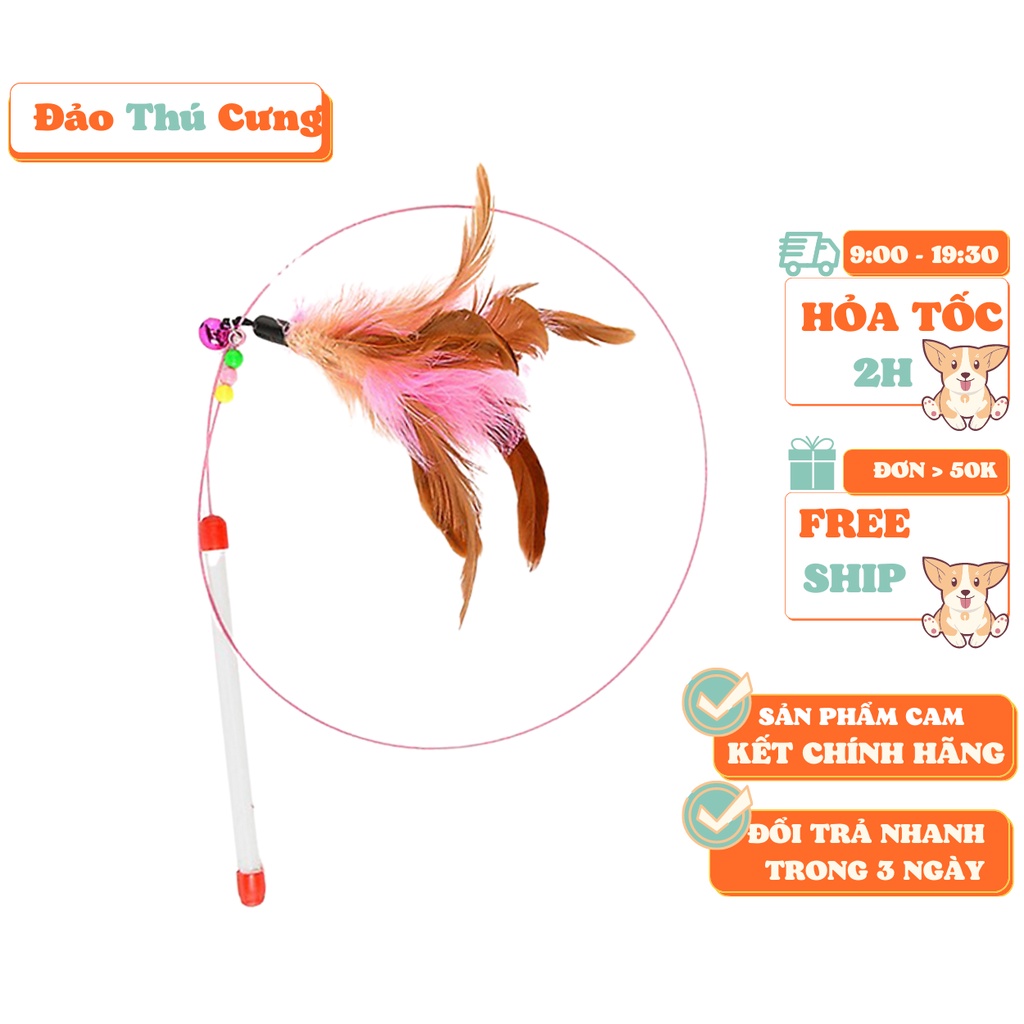 Đồ Cho mèo chơi CẦN CÂU mèo  đồ chơi cho mèo