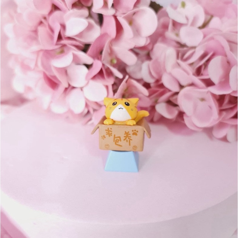 Keycap lẻ anime hình mèo hộp siêu cute dễ thương