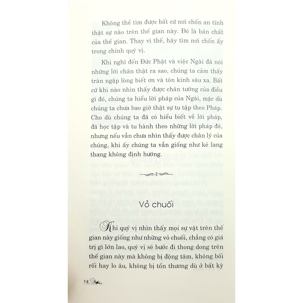 Sách - Một Cội Cây Rừng (Ajahn Chah - Văn Lang)