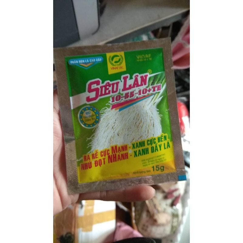 siêu lân ra rễ