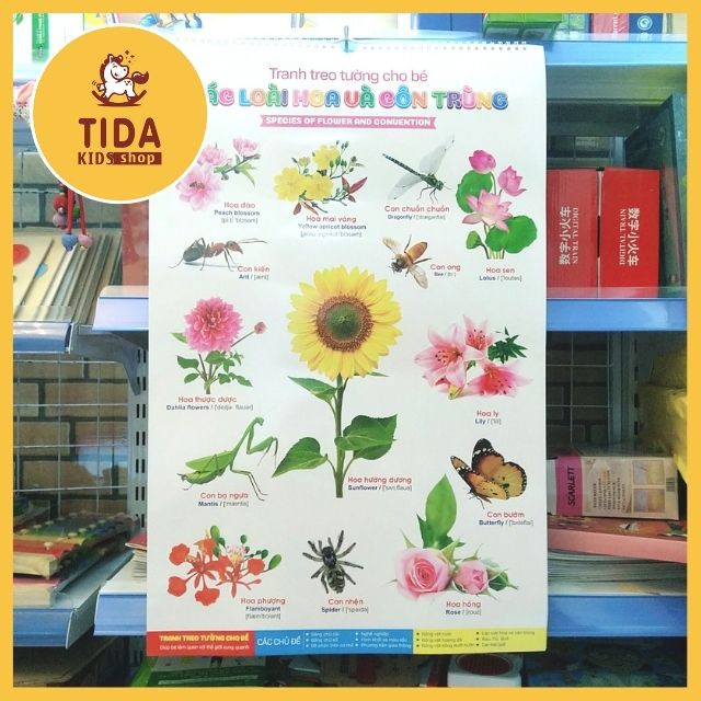 Tranh Treo Tường 14 Chủ Đề Cho Bé Học Số Đếm, Chữ Cái, Hình Con Vật, Hoa Quả, Xe Cộ Đồ Chơi Giáo Dục TiDa Kids Shop