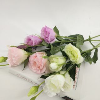 Cành hoa lan tường loại mới 2 bông 1 nụ- Hoa giả