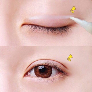 Kích mí lưới dạng hộp ( sả giá gốc)