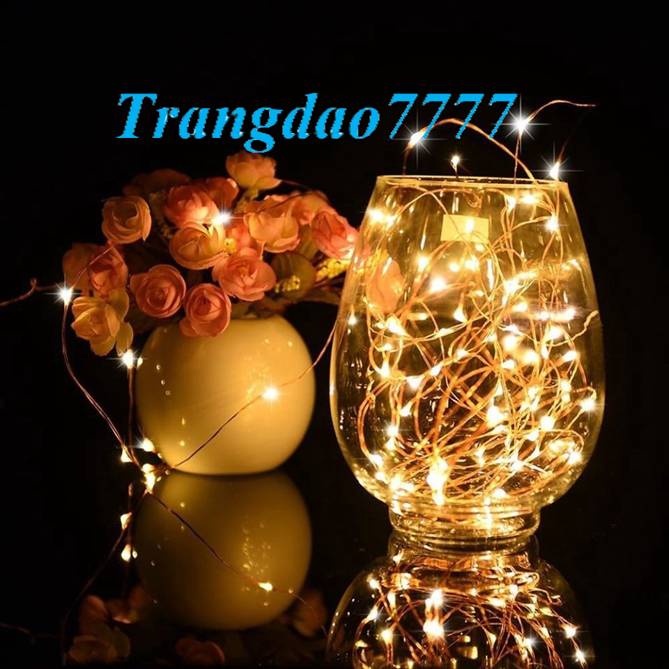 Đèn Led Xài Pin Không Chớp Nháy Dài 3M 30 Bóng Đèn Led Đom Đóm Fairy Light Trang Trí Decor Mô Hình Đẹp Rẻ