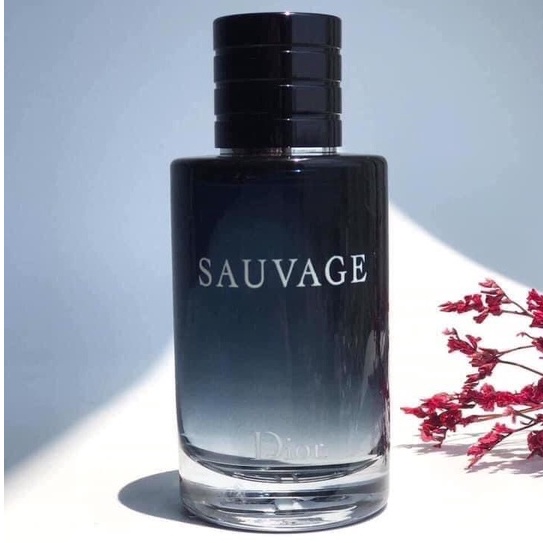 Nước Hoa Nam Dior Sauvage EDT 100ml