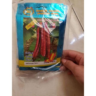 HẠT GIỐNG Đậu Rồng đỏ Thái Lan
