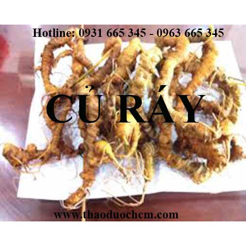 Củ Ráy Khô 500gr - Trị Gout - Hàng Chất Lượng