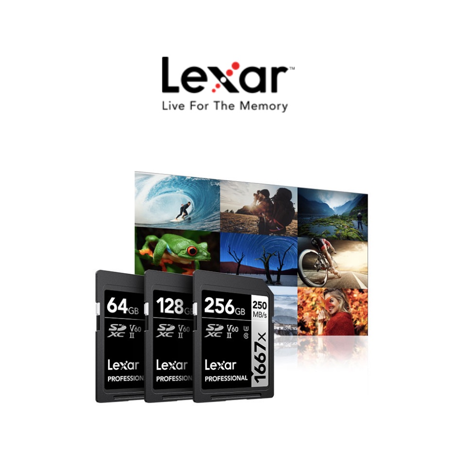 Thẻ Nhớ Lexar 1667x SDXC™ UHS-II Card SILVER Series - 128GB - Hàng Chính Hãng