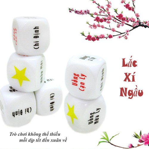 XÍ NGẦU UỐNG BIA SET 5 VIÊN-LOẠI ĐẸP