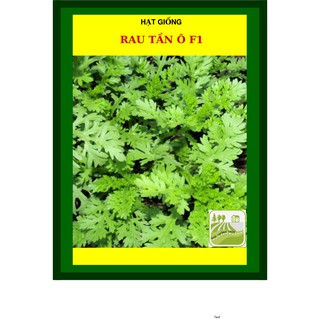 20G - Hạt Giống Rau Tần Ô (Cải Cúc)