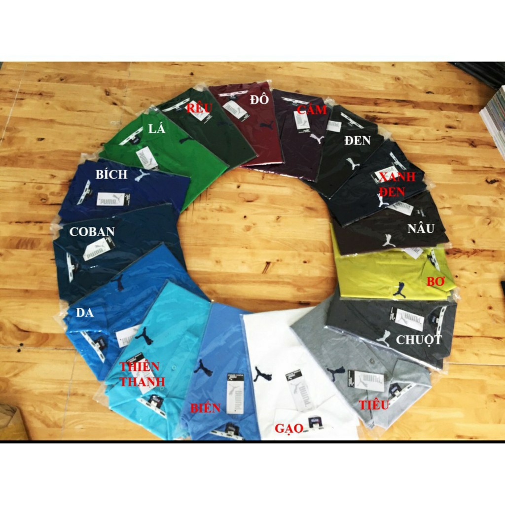 《Sale50%》Áo Thun Cá Sấu Nam Thời Trang Cao Cấp | BigBuy360 - bigbuy360.vn