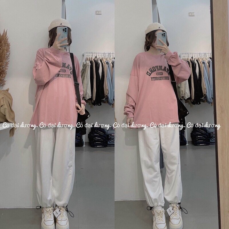 Áo Pull Dài Tay Thun Nữ Thu Đông Stanford Dáng Rộng Đẹp Unisex